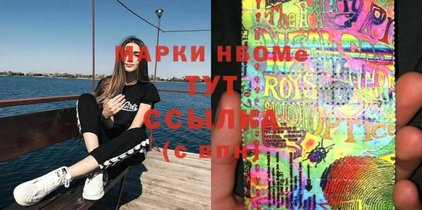 прущие грибы Арсеньев