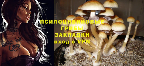 марки lsd Аркадак