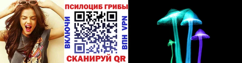 Псилоцибиновые грибы Cubensis Ухта